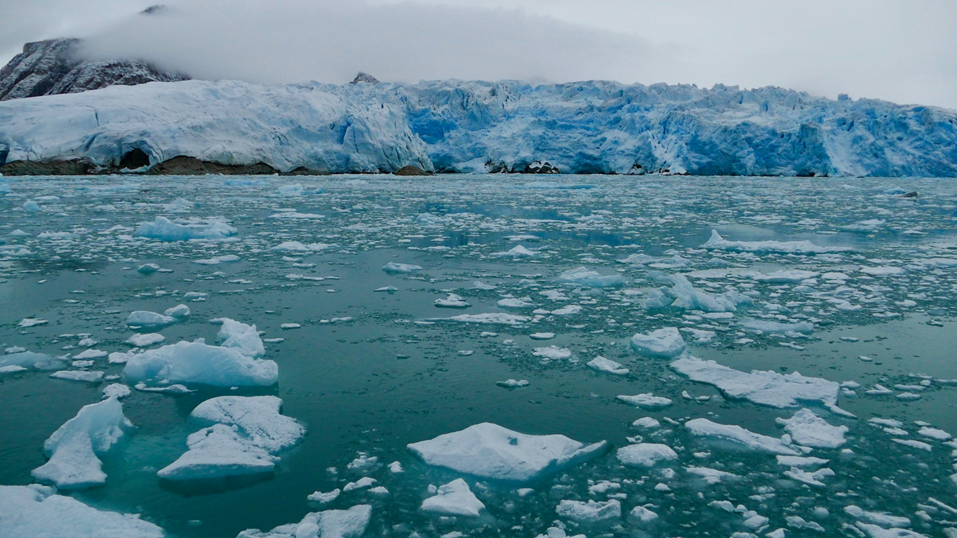 Crédit photo Catherine Martin - Liefdefjord : glacier de Monaco et glacier d’Erik