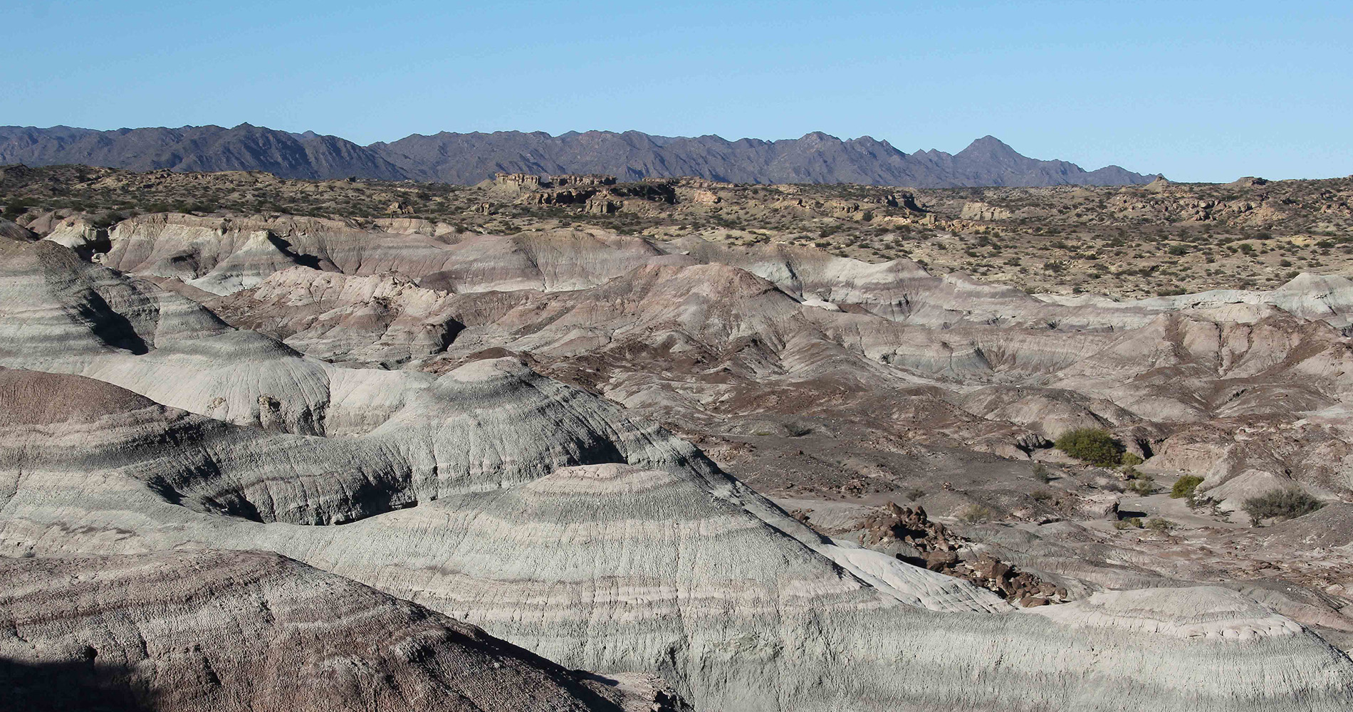 Vallée de la Lune, Ischigualasto