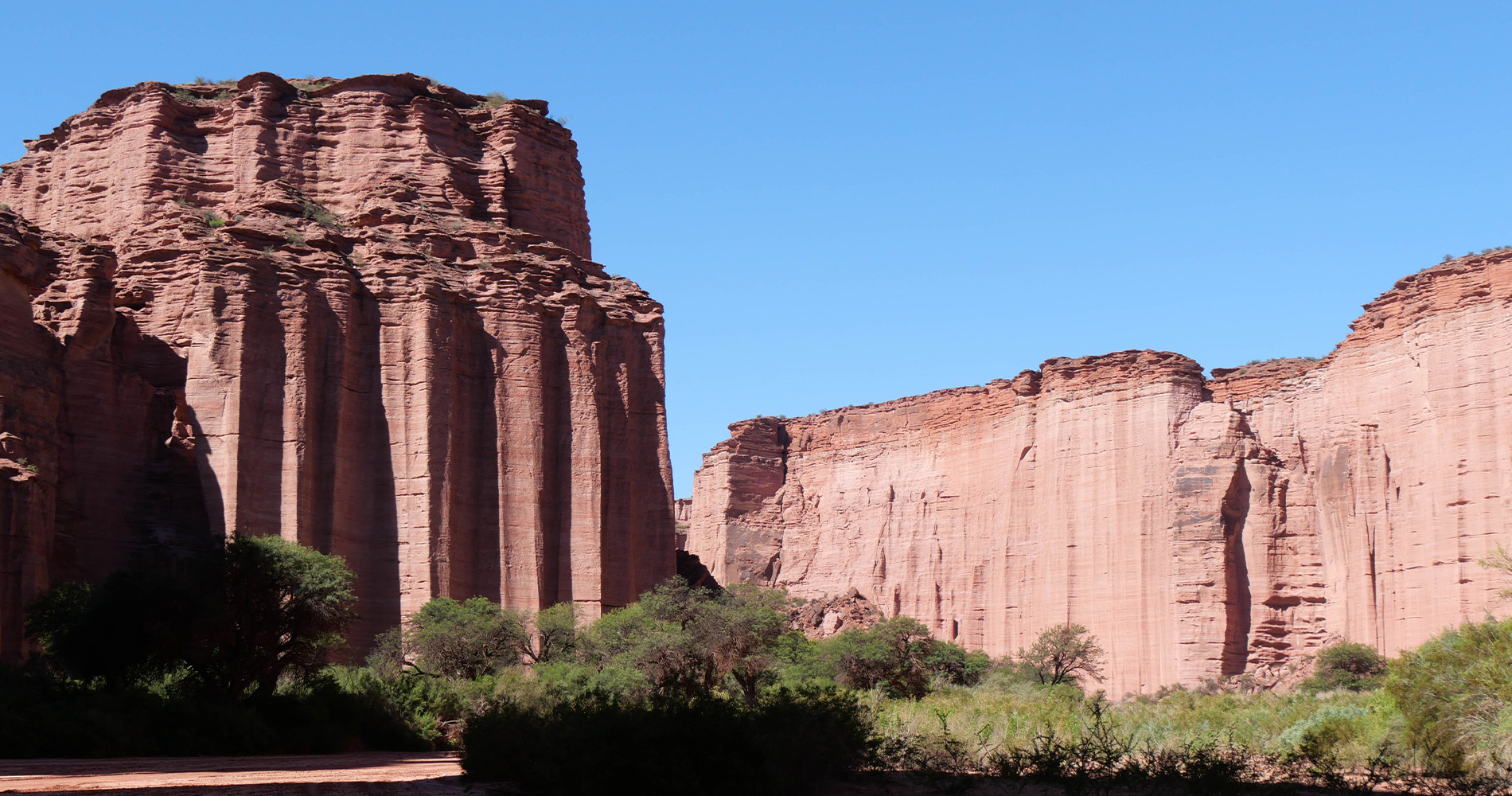 Jardin Botanique, Talampaya