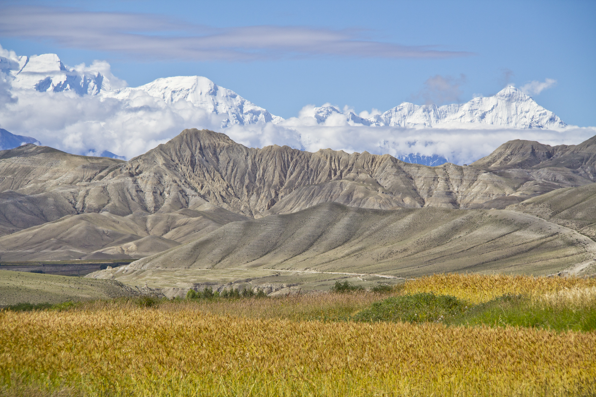 Les Annapurna depuis les champs de Ghami  - Mustang ou Everest ?