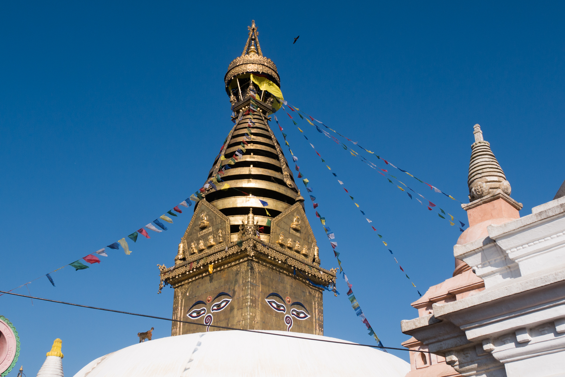 Stupa de Swayambunath - La vallée de Kathmandu