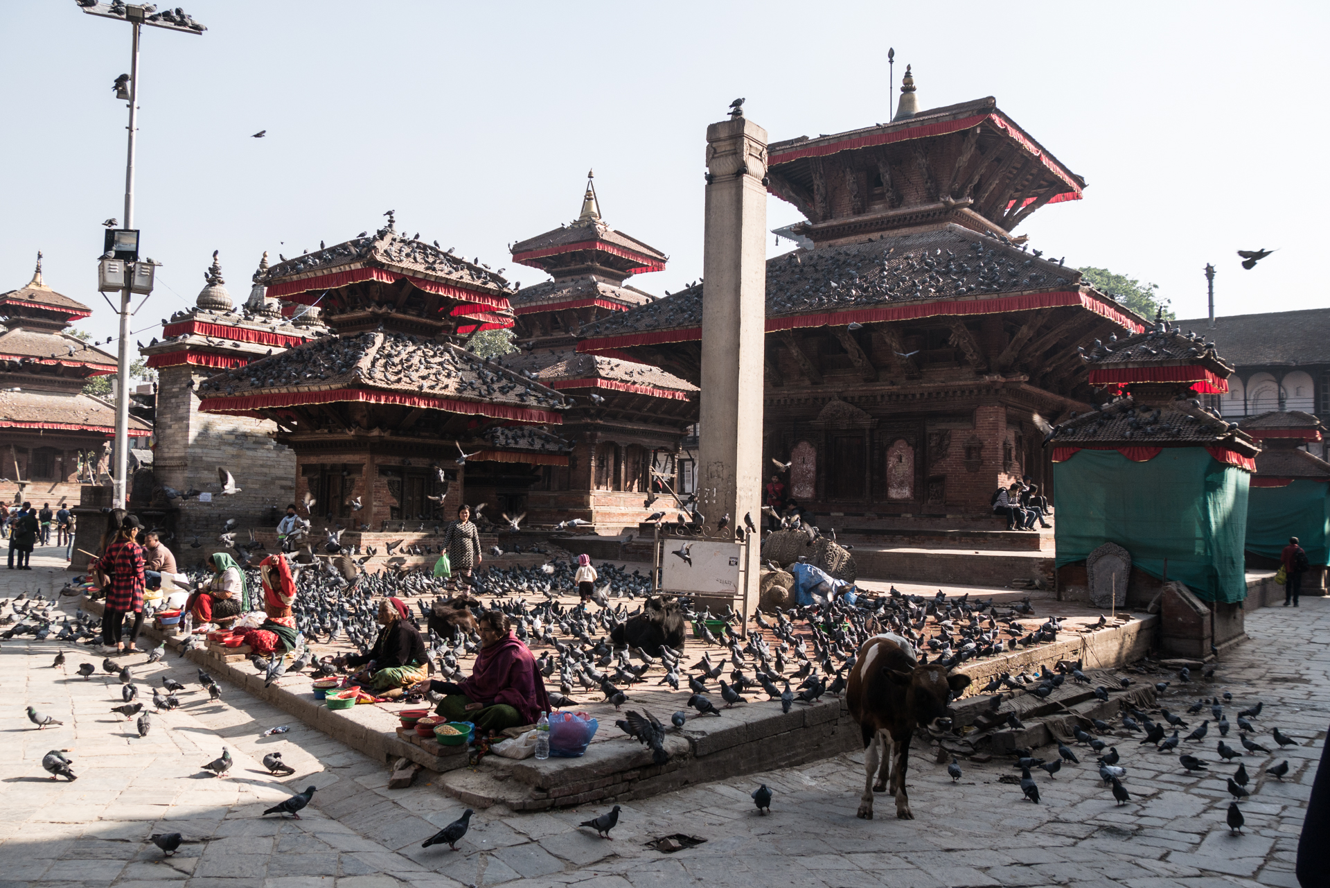 Temples vers l'ancien palais royal - La vallée de Kathmandu