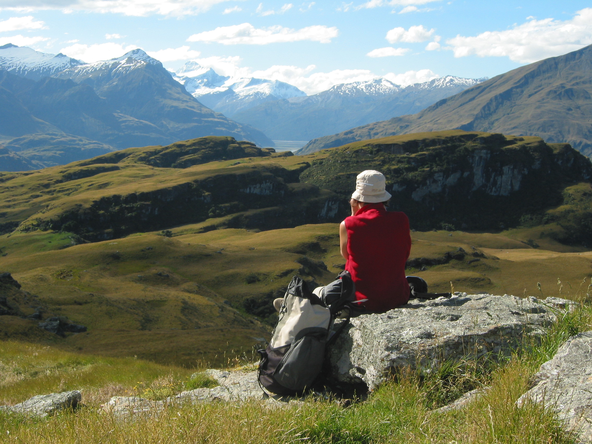 Alpes néozélandaises