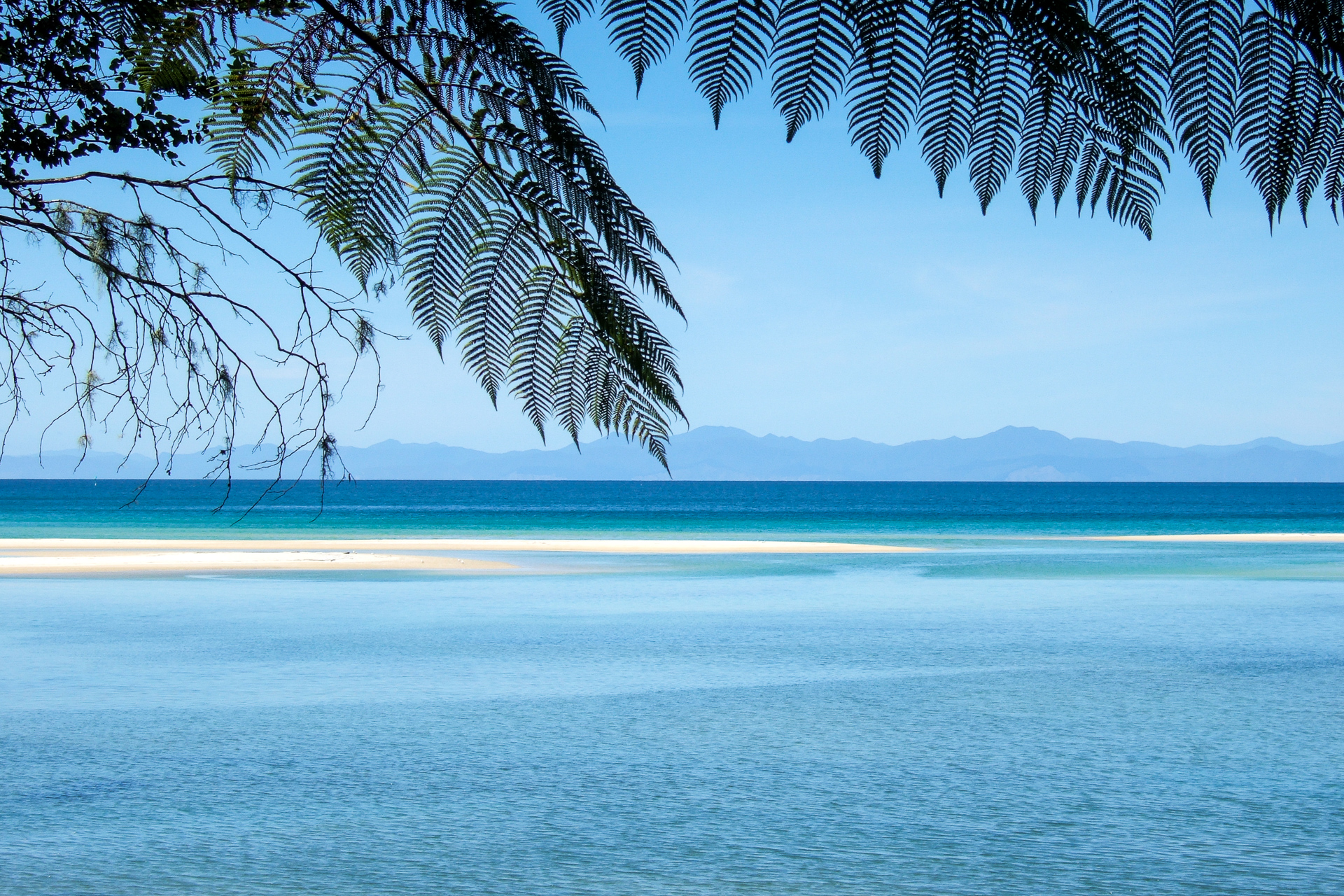 Cote des Catlins nouvelle zélande