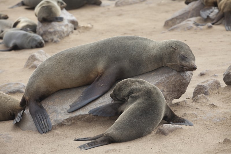 La Namibie, pays insolite et aventures grandioses