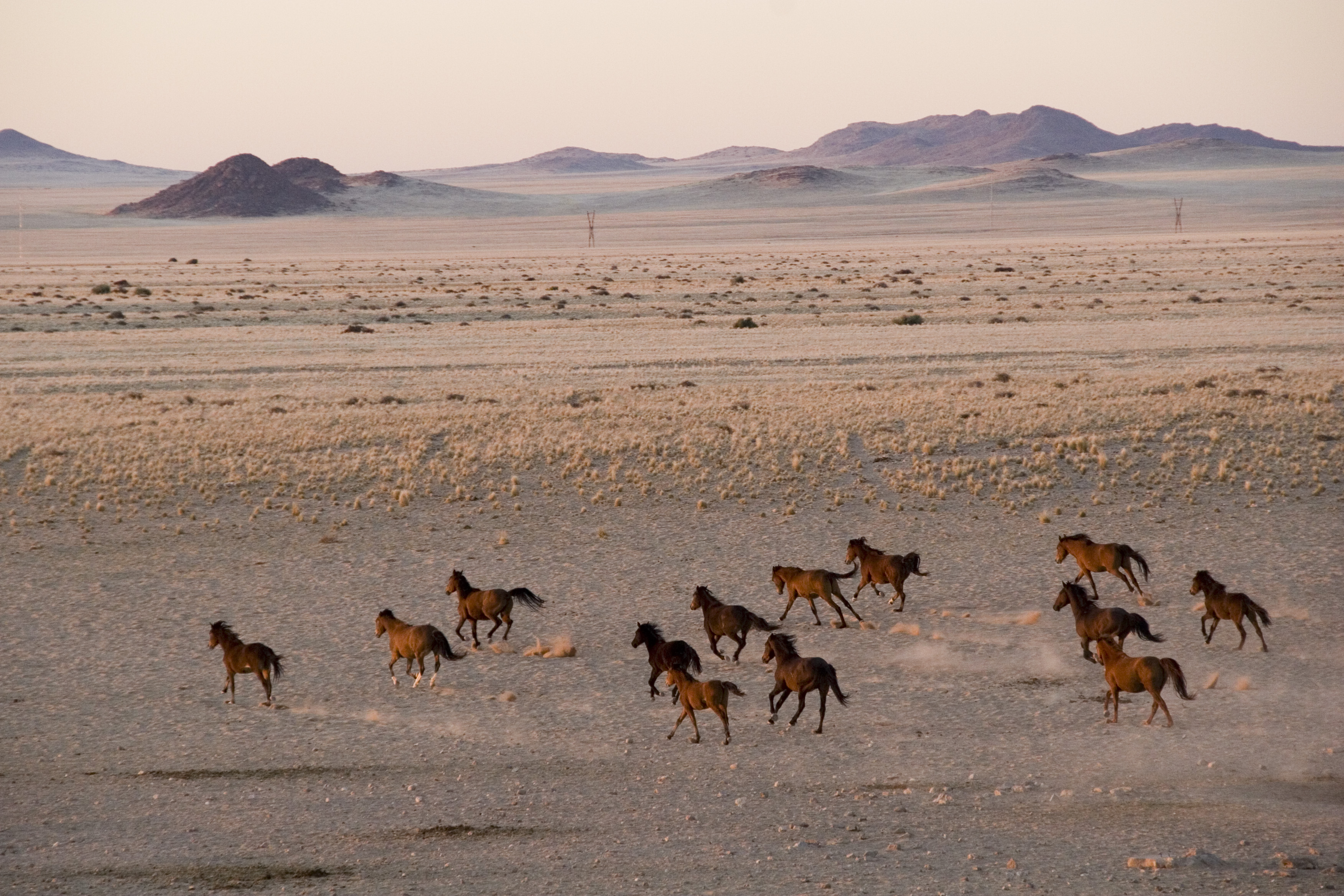 La Namibie, pays insolite et aventures grandioses
