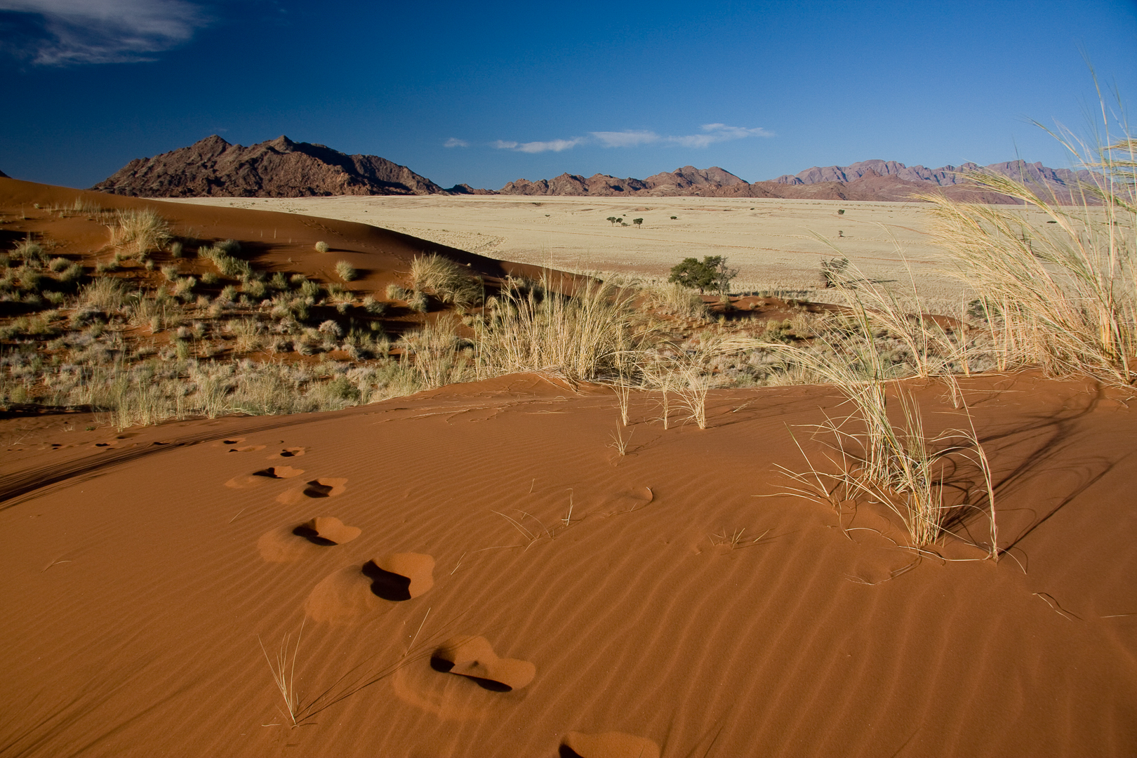 Dune Namib sossusvlei