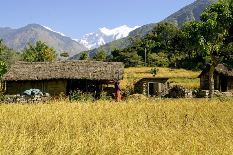Les Annapurnas, trek mythique