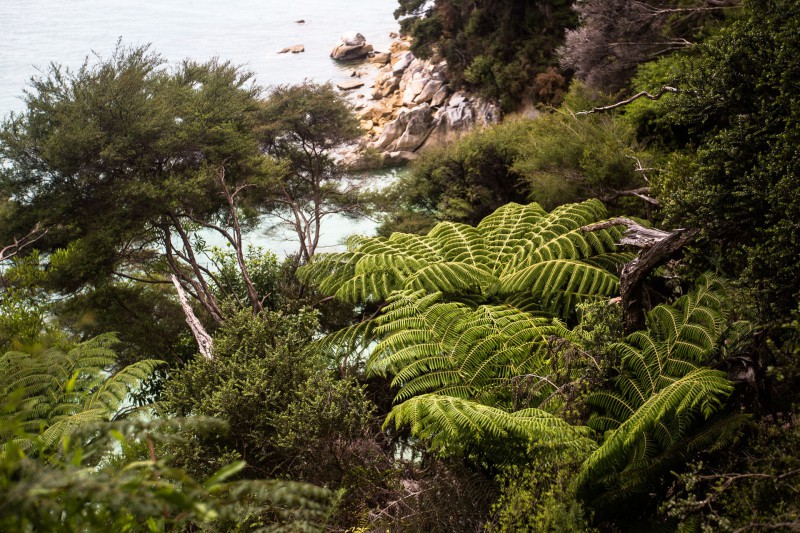 Parc National Abel Tasman