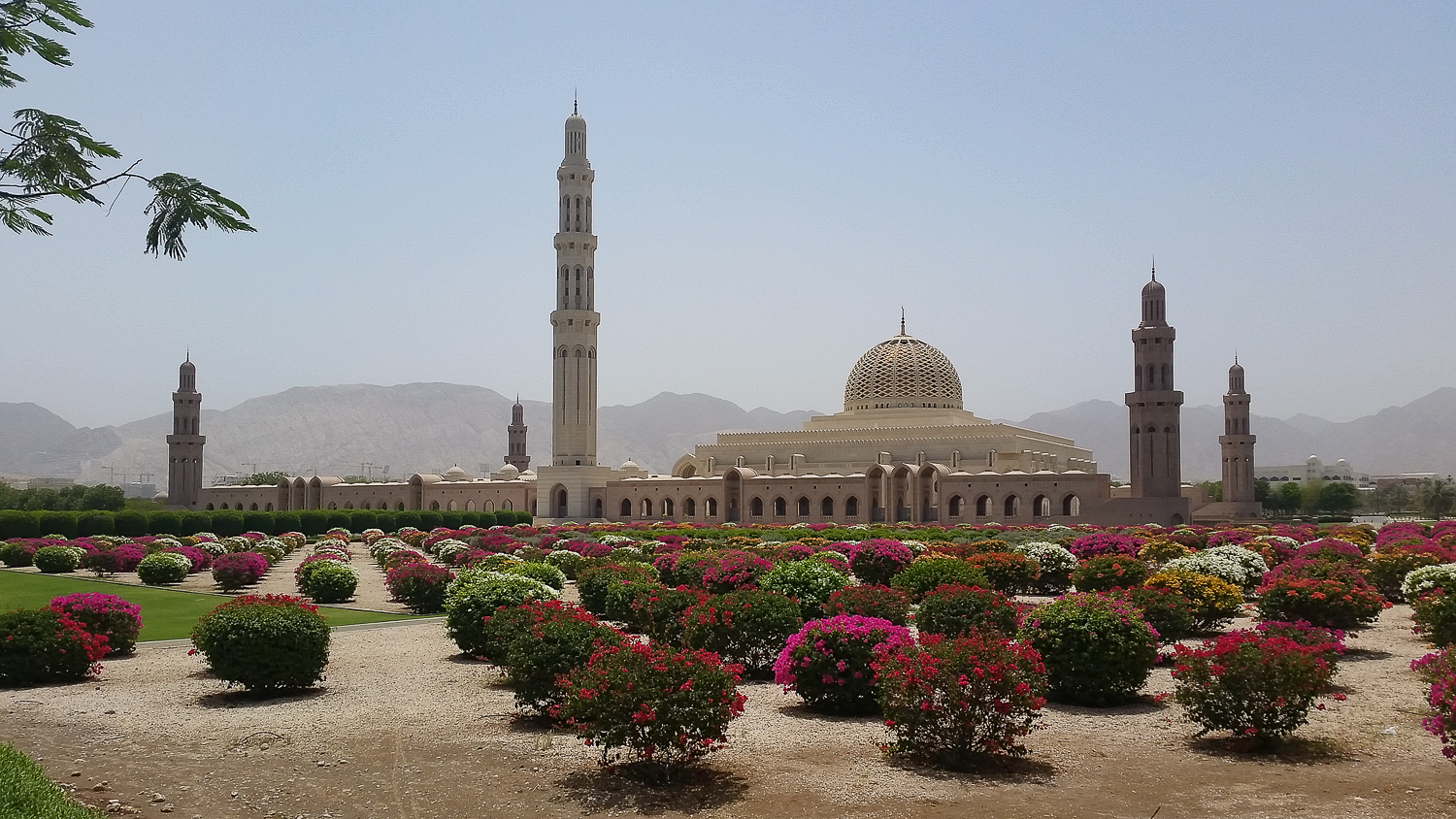 Mosquée Sultan Qaboos Mascate Oman