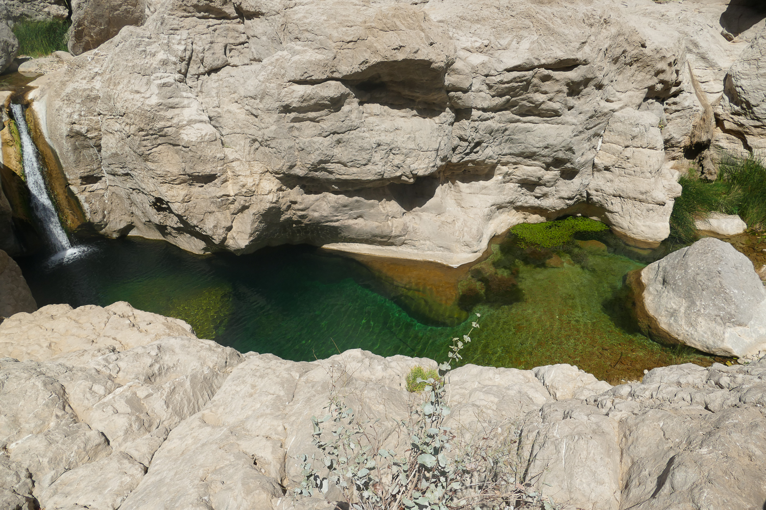 Palmeraie de Wadi bani khalid - Oman, Trésor caché