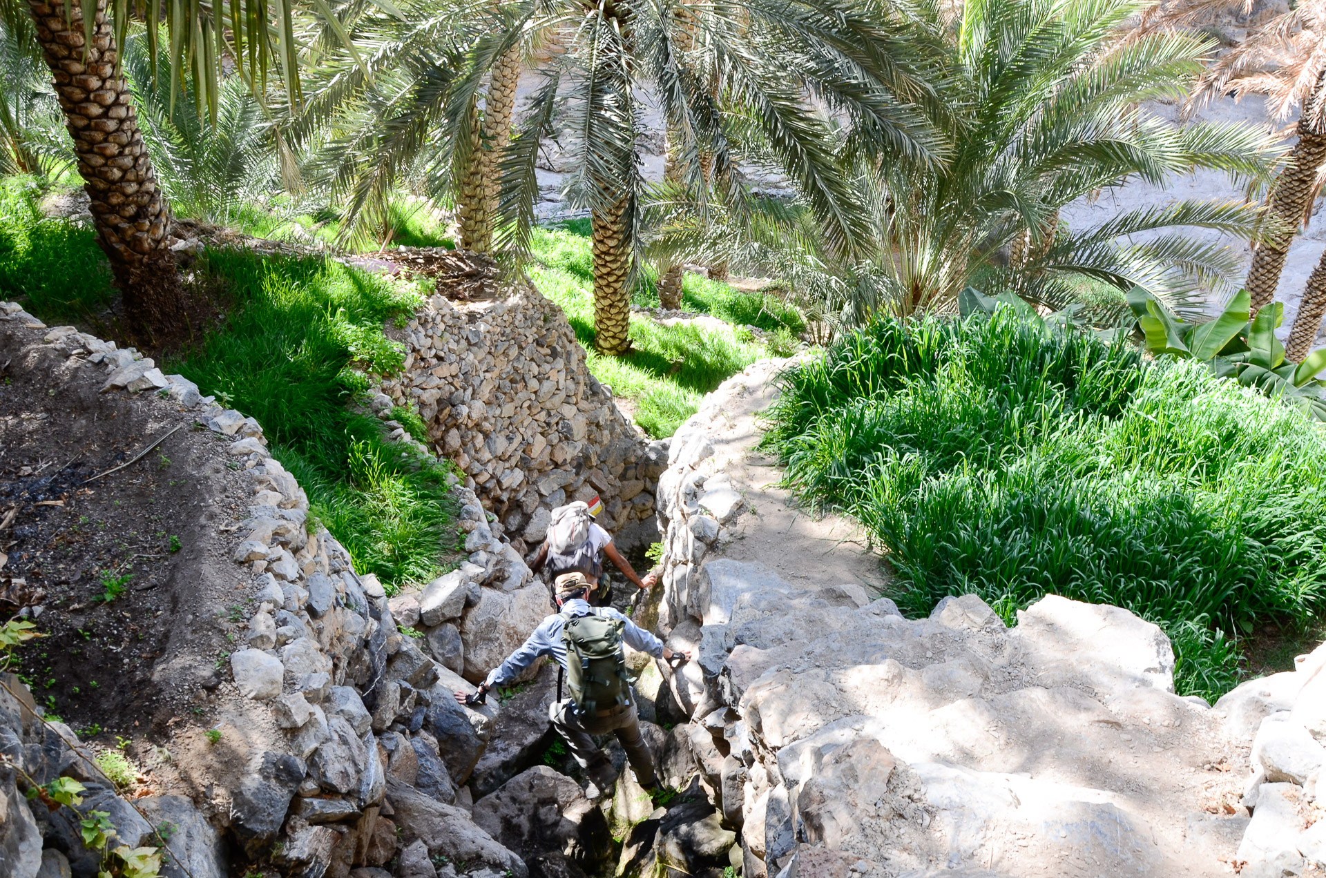 Depuis le village d’Al Hilaylat trek djebel Akhdar