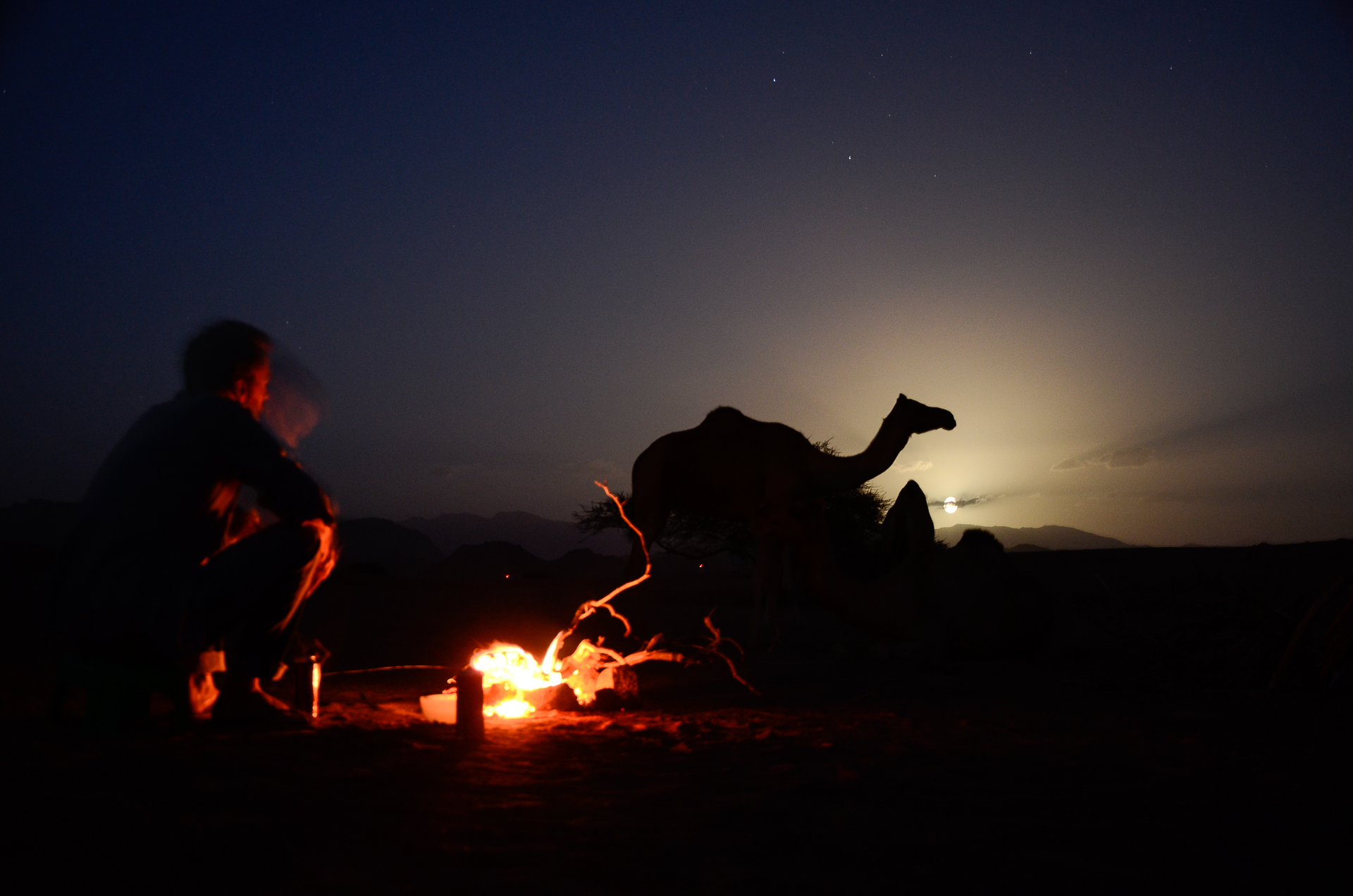 Bivouac dans le désert