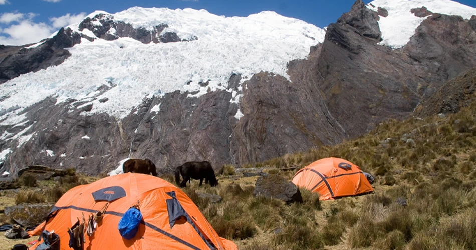 Le camp mirador face au Nevado Contrahierbas (6036 m) - Pérou