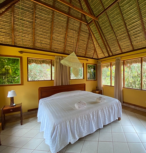 Chambre Amazonie
