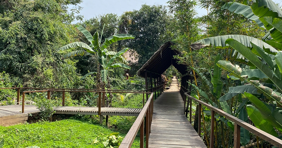 Hébergements au coeur de l'Amazonie