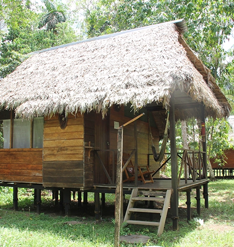 Lodge au coeur de l'Amazonie