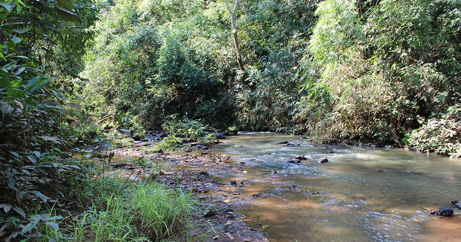 Tambopata_Amazonie