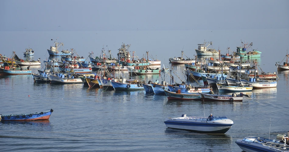 Port de Paracas - Pérou