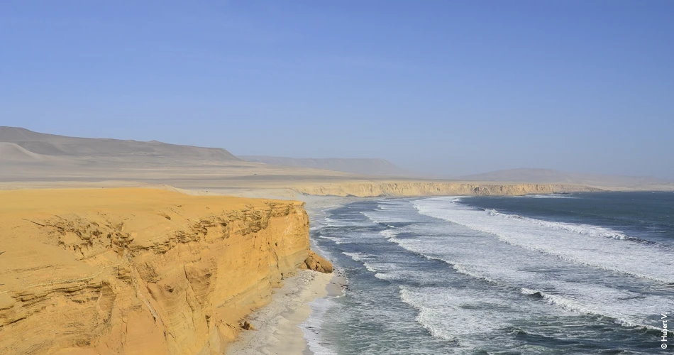 Balade dans la réserve nationale de Paracas - Pérou