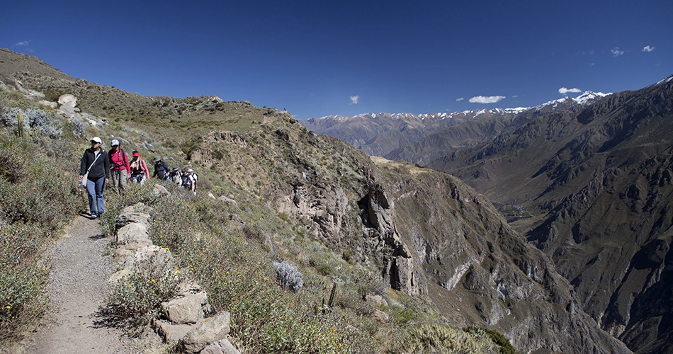 Balade_canyon_colca