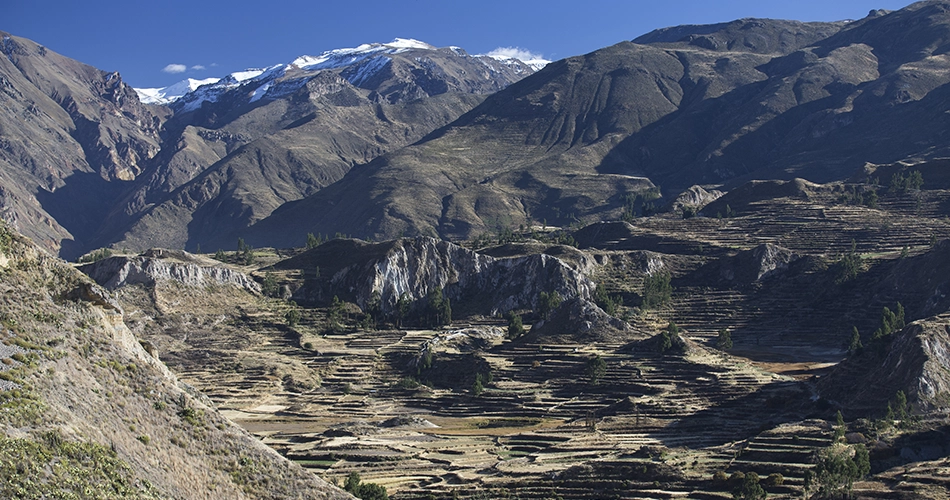 Panorama_Canyon_colca