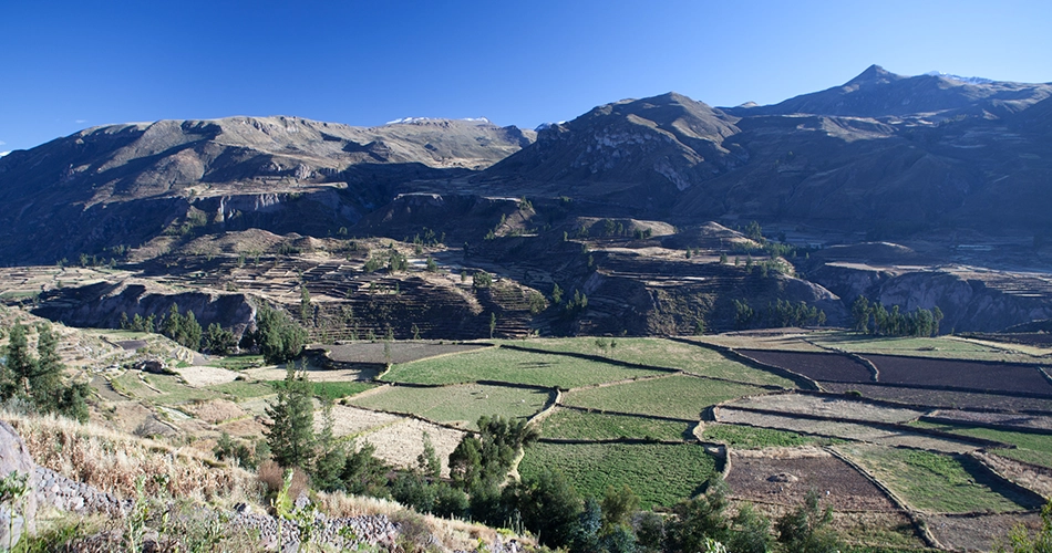 Canyon de colca