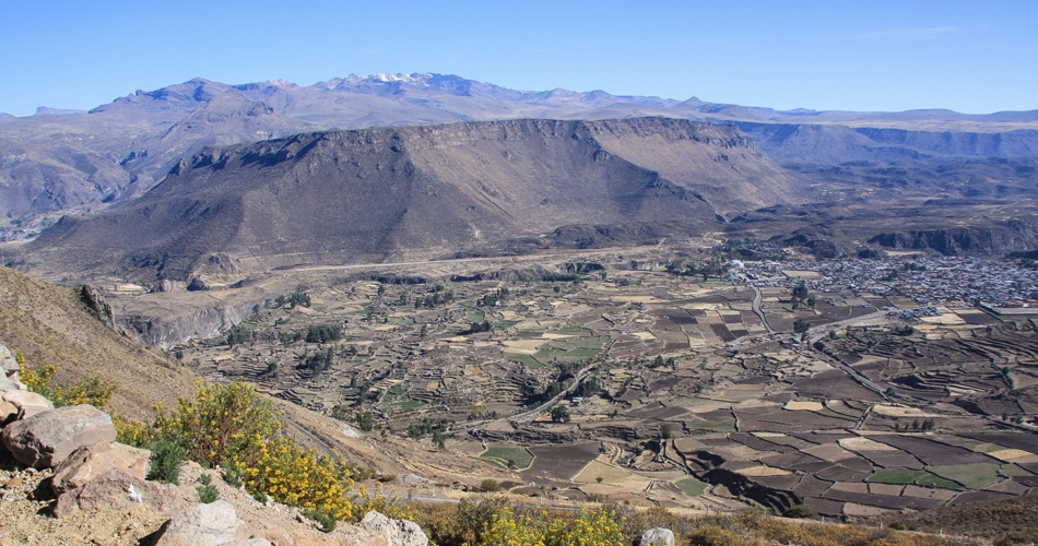 Vue_sur_le_canyon_de_Colca_depuis_le_col_de_Patapampa