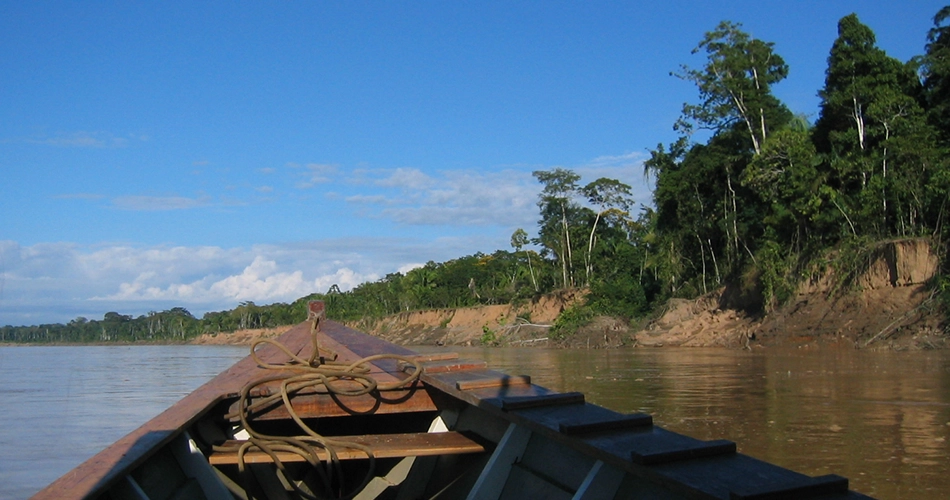 Amazonie