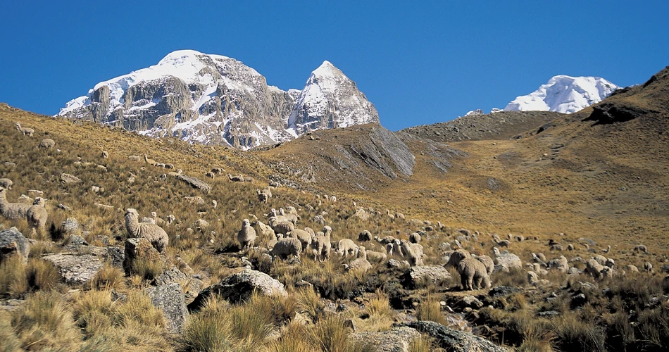 A l'approche du col Cuyoc