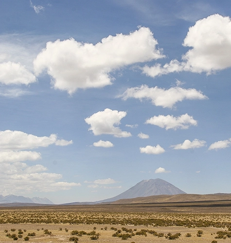 Altiplano