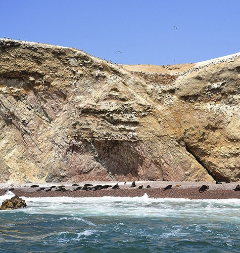 Ballestas