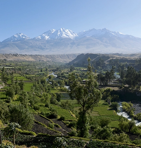 Canyon de Colca