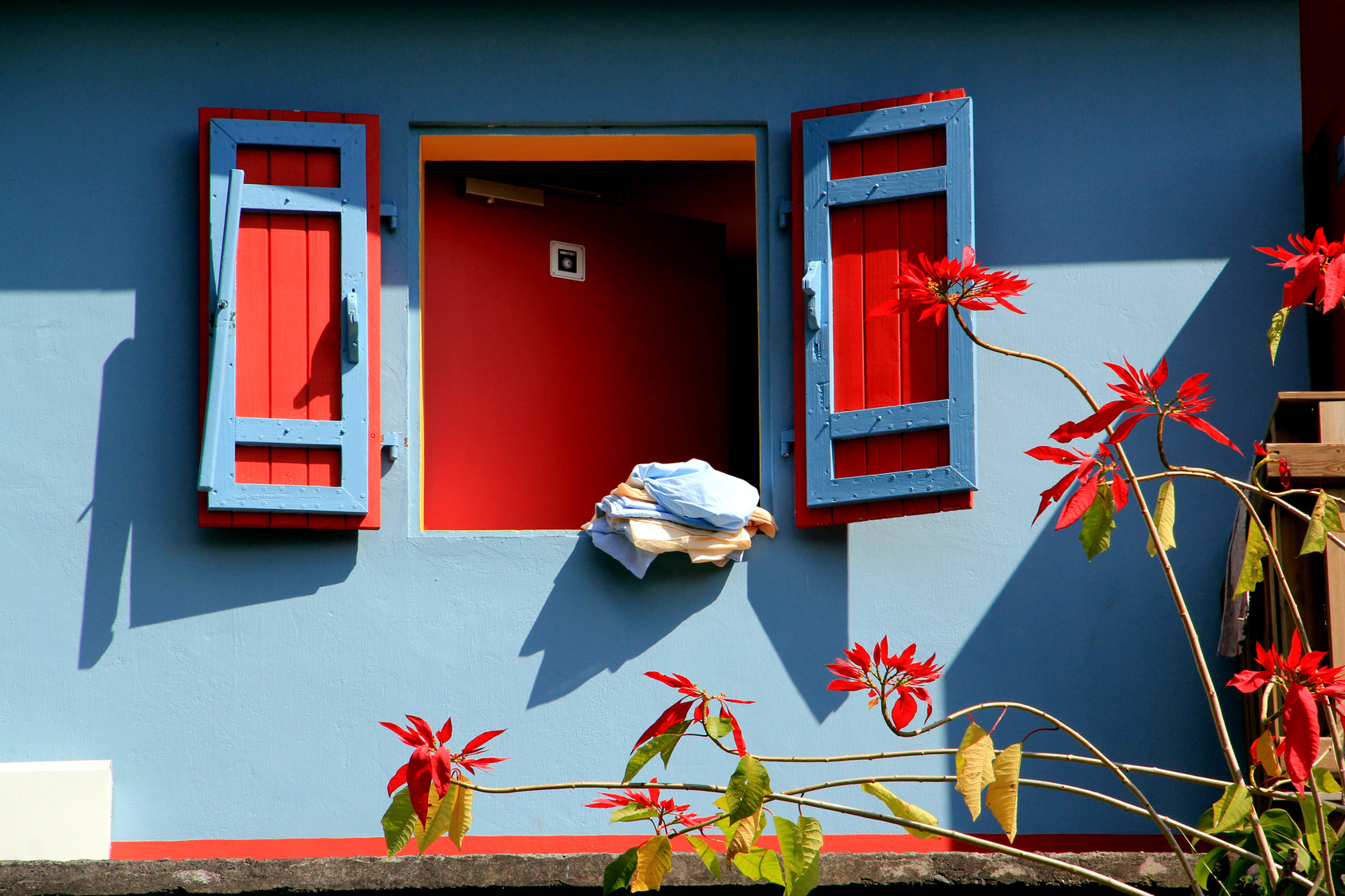 Voyage La réunion salazie fotolia