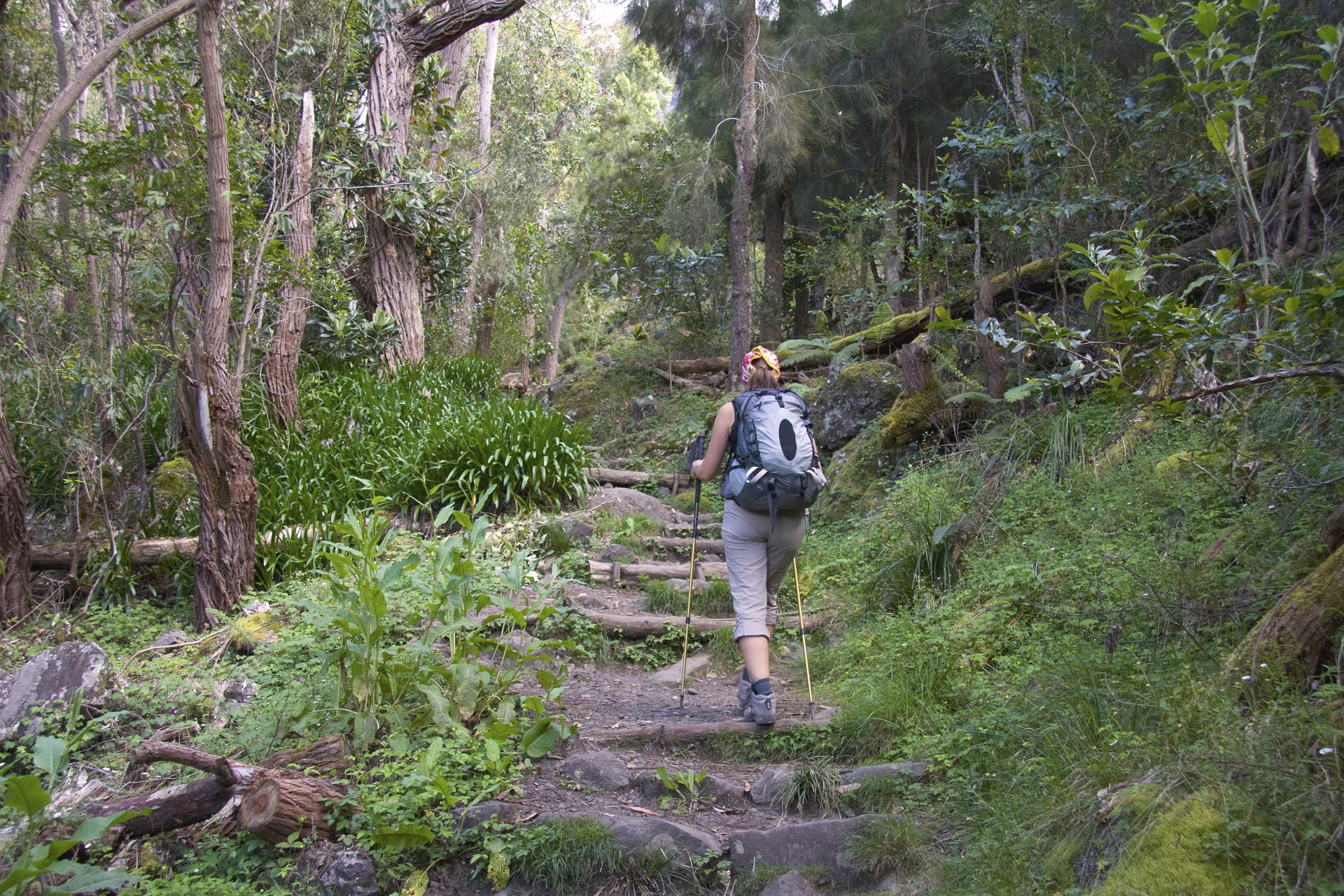 La réunion, entre cirques, pitons et lagons