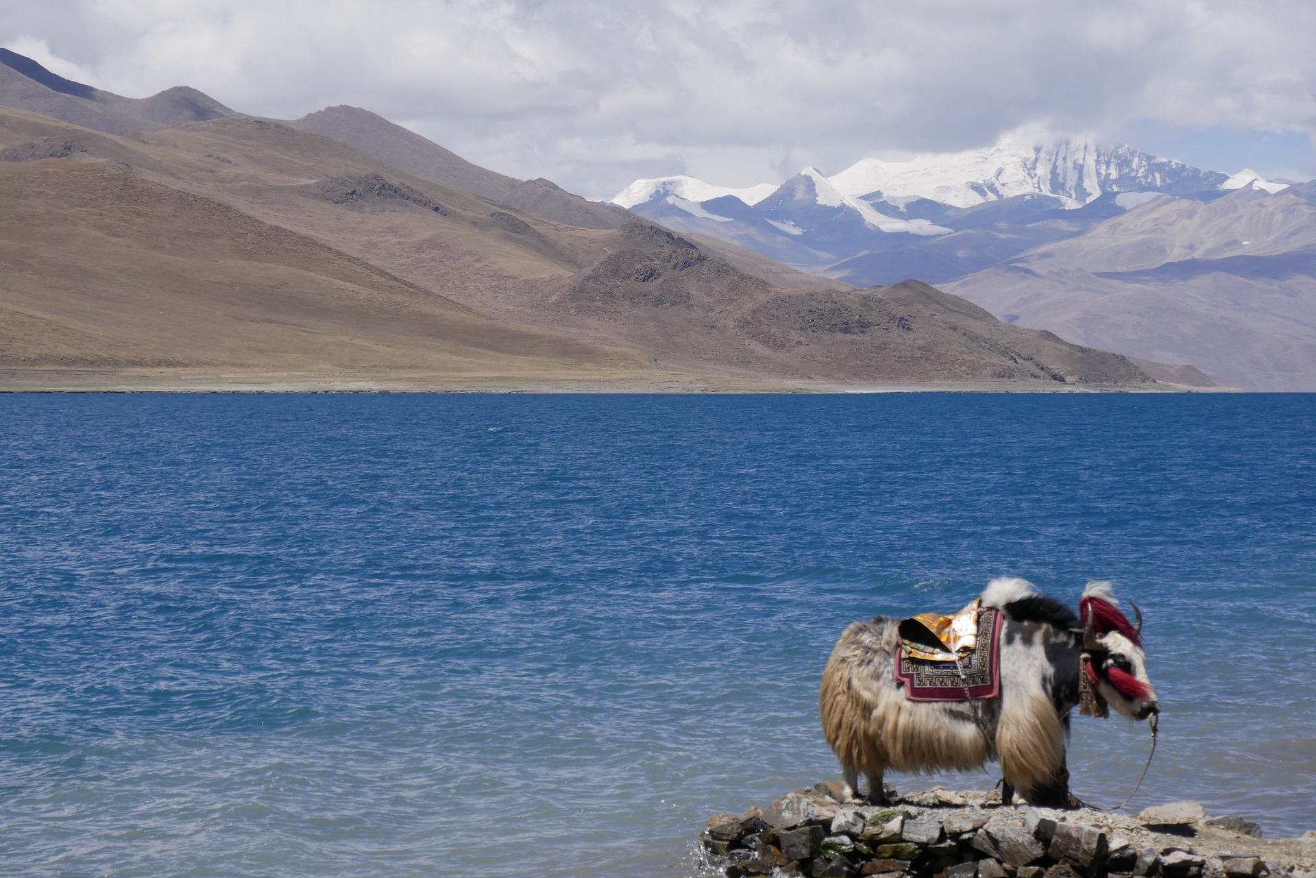 Lac Yamdrok