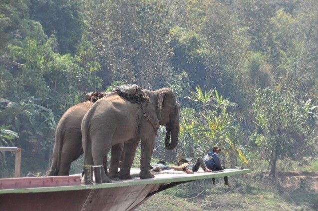 Laos