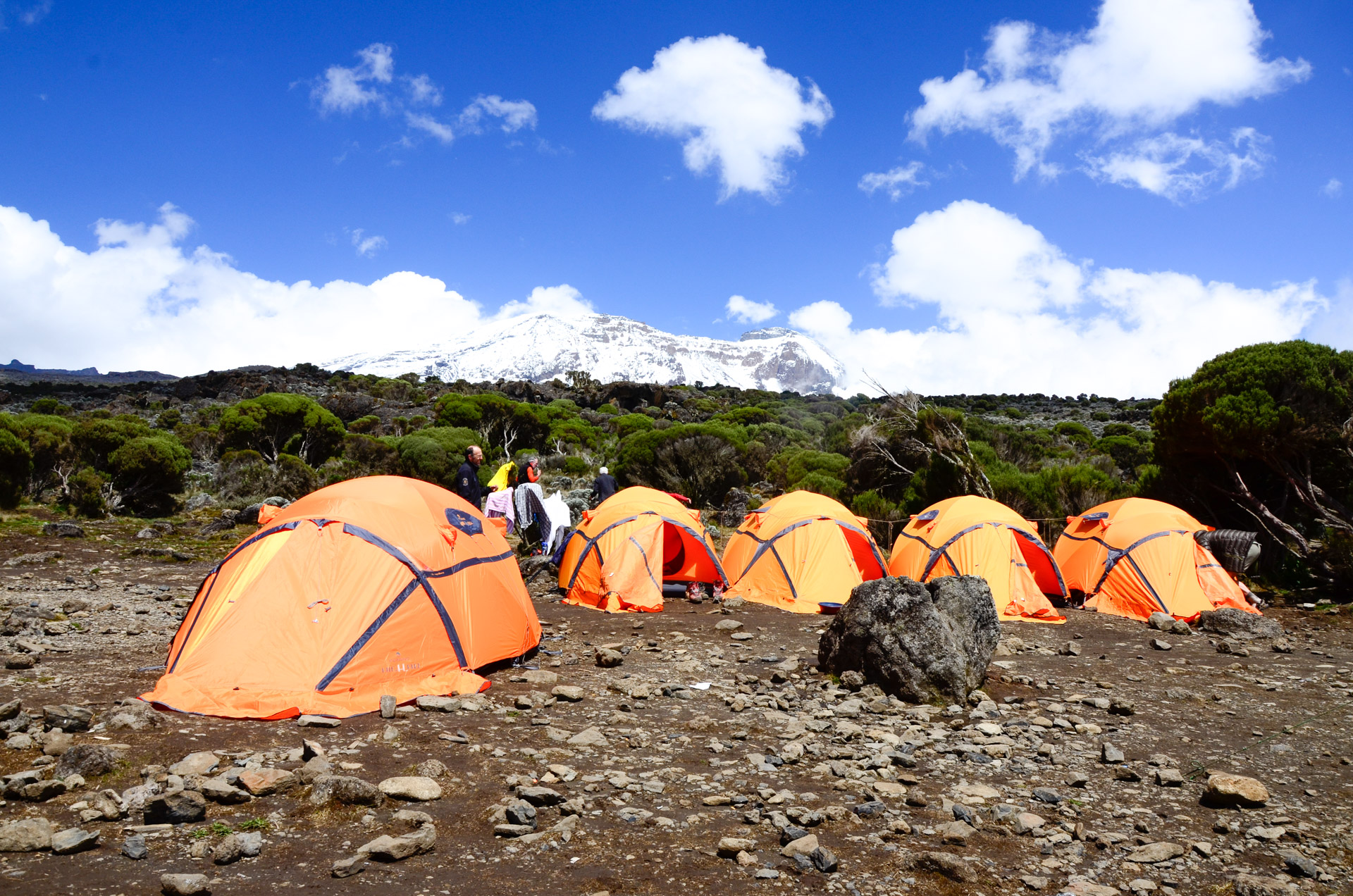 Le Kili, rêve de trekkeurs