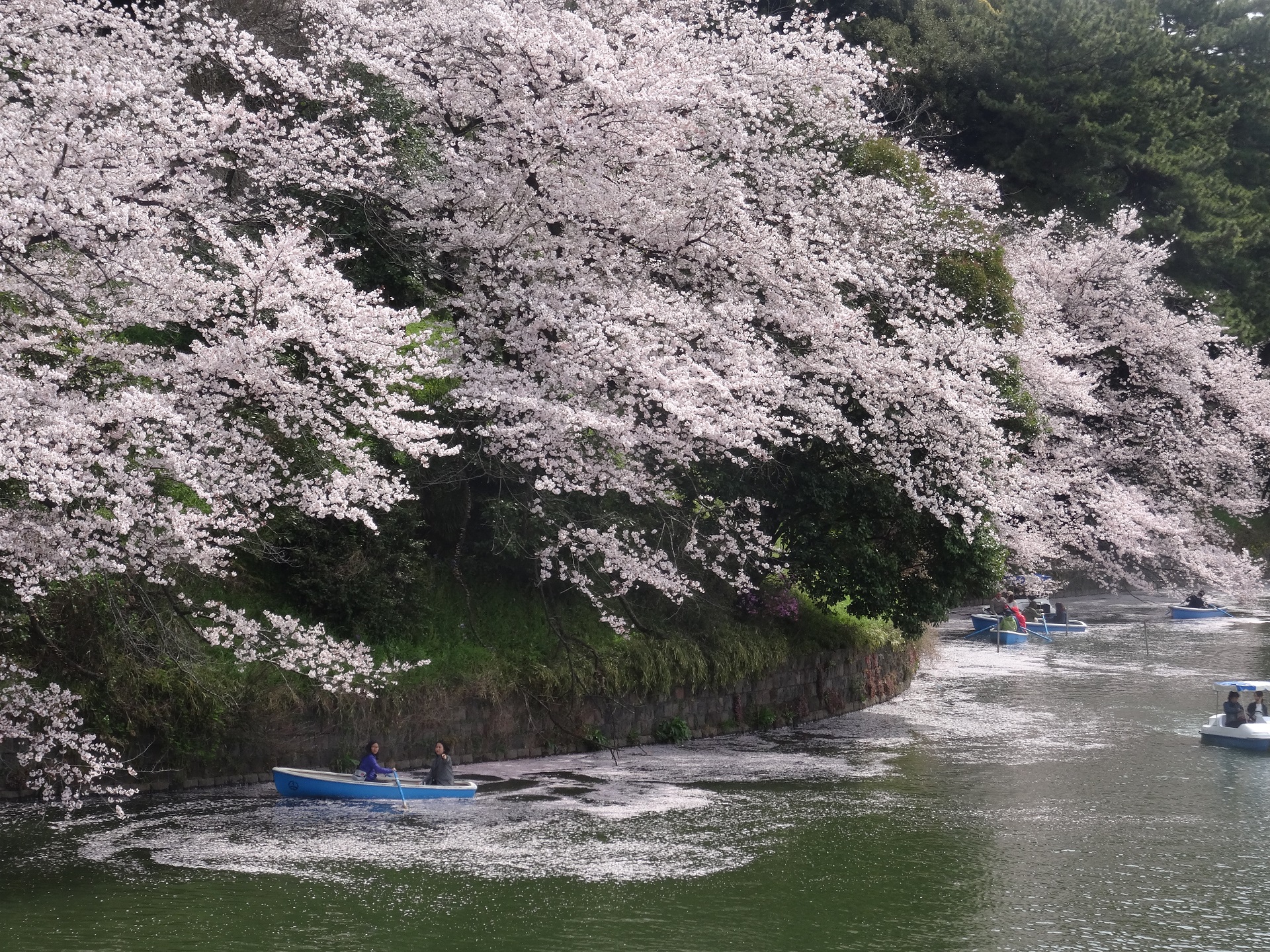 Pourquoi le Japon ?