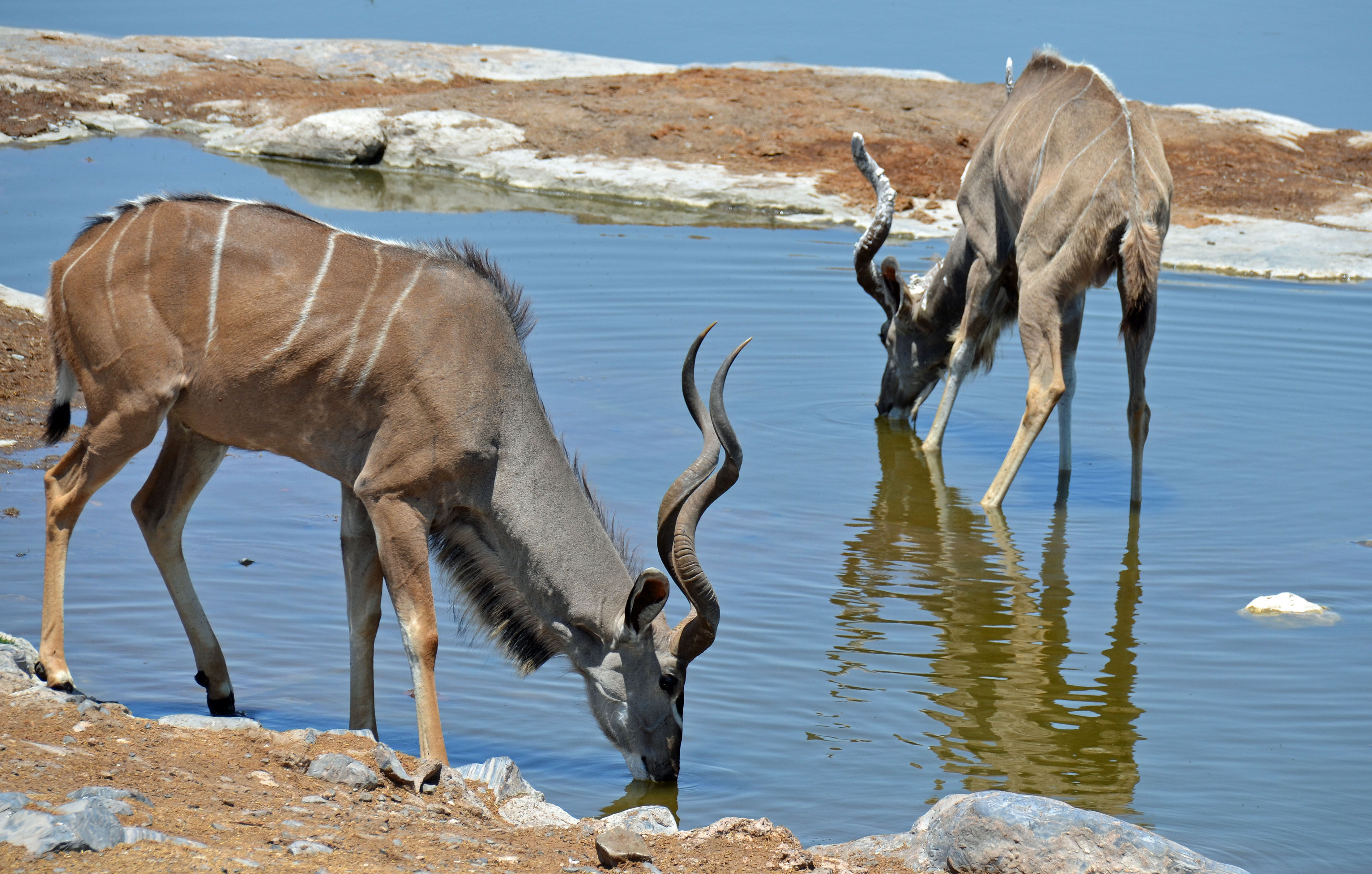 Namibie