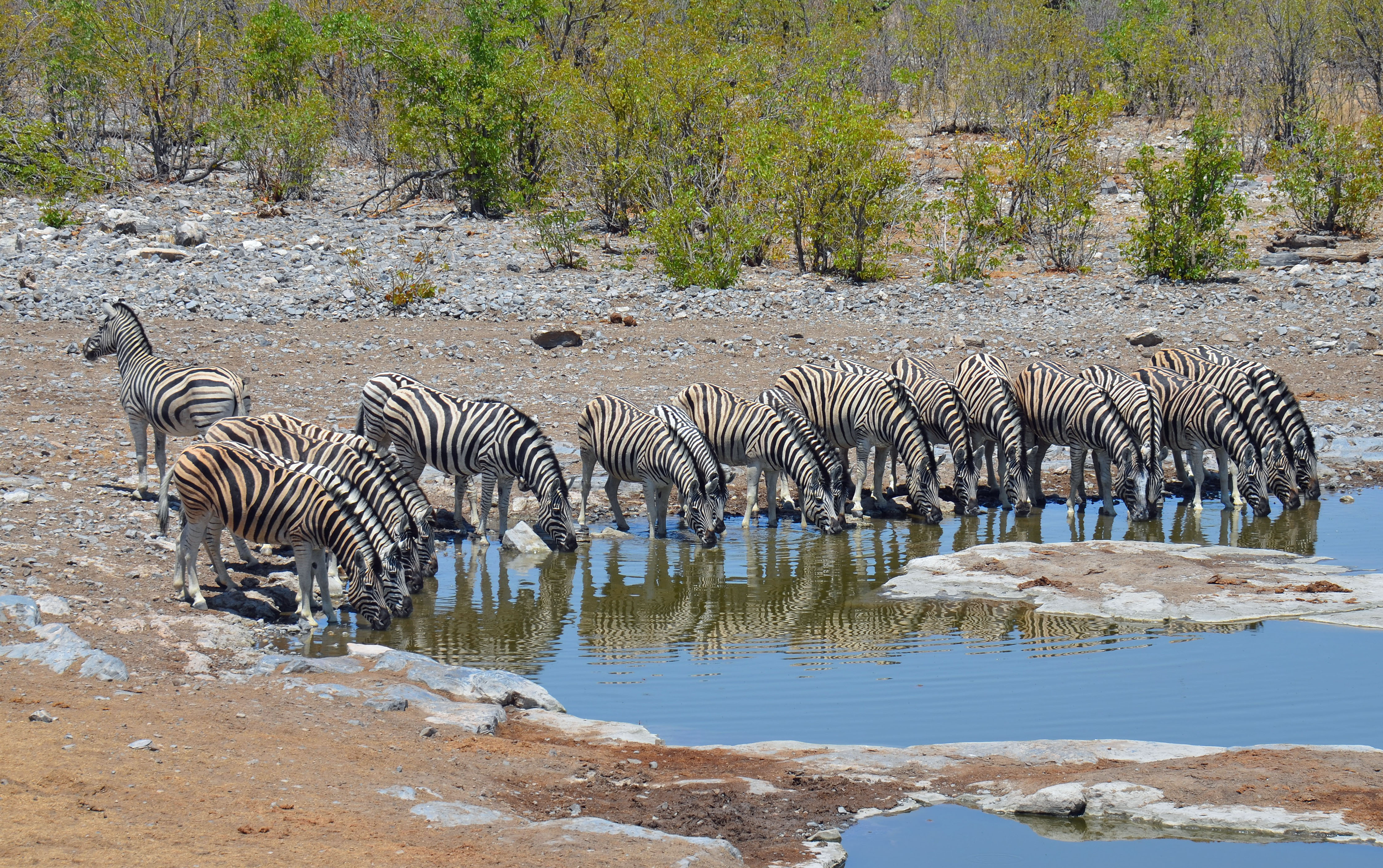 Namibie