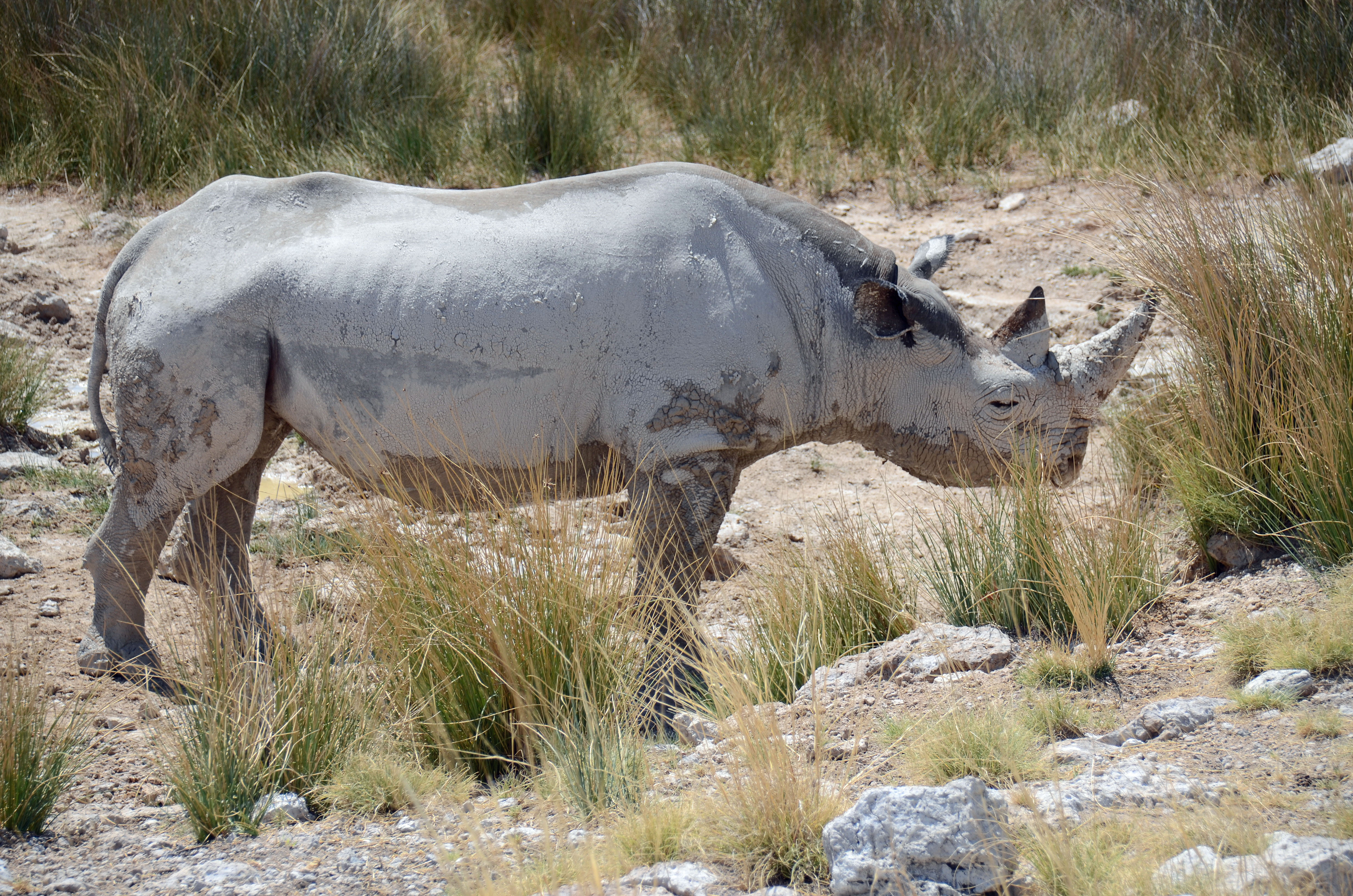 Namibie