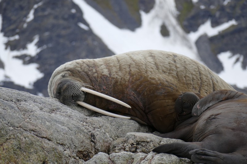 La Norvège autrement, découverte en rando-croisière