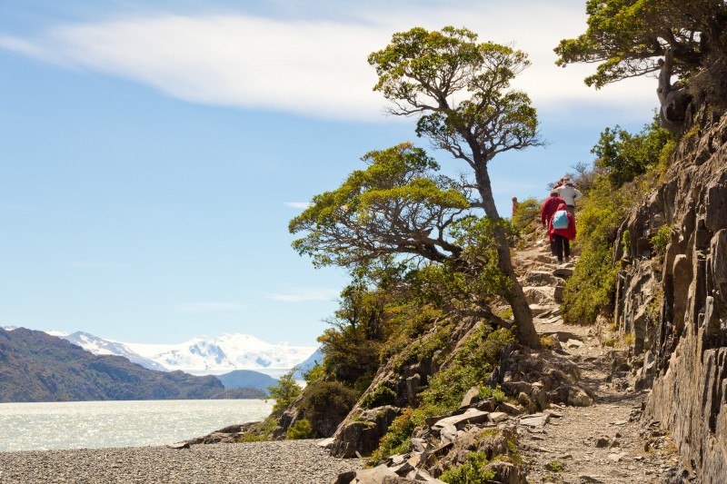 La Patagonie, au cœur d’une nature intacte