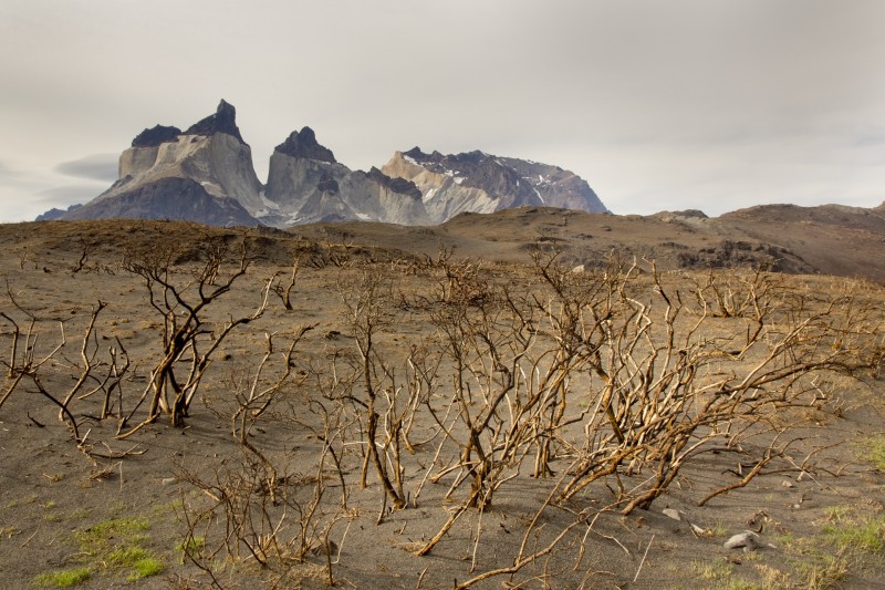 La Patagonie, au cœur d’une nature intacte