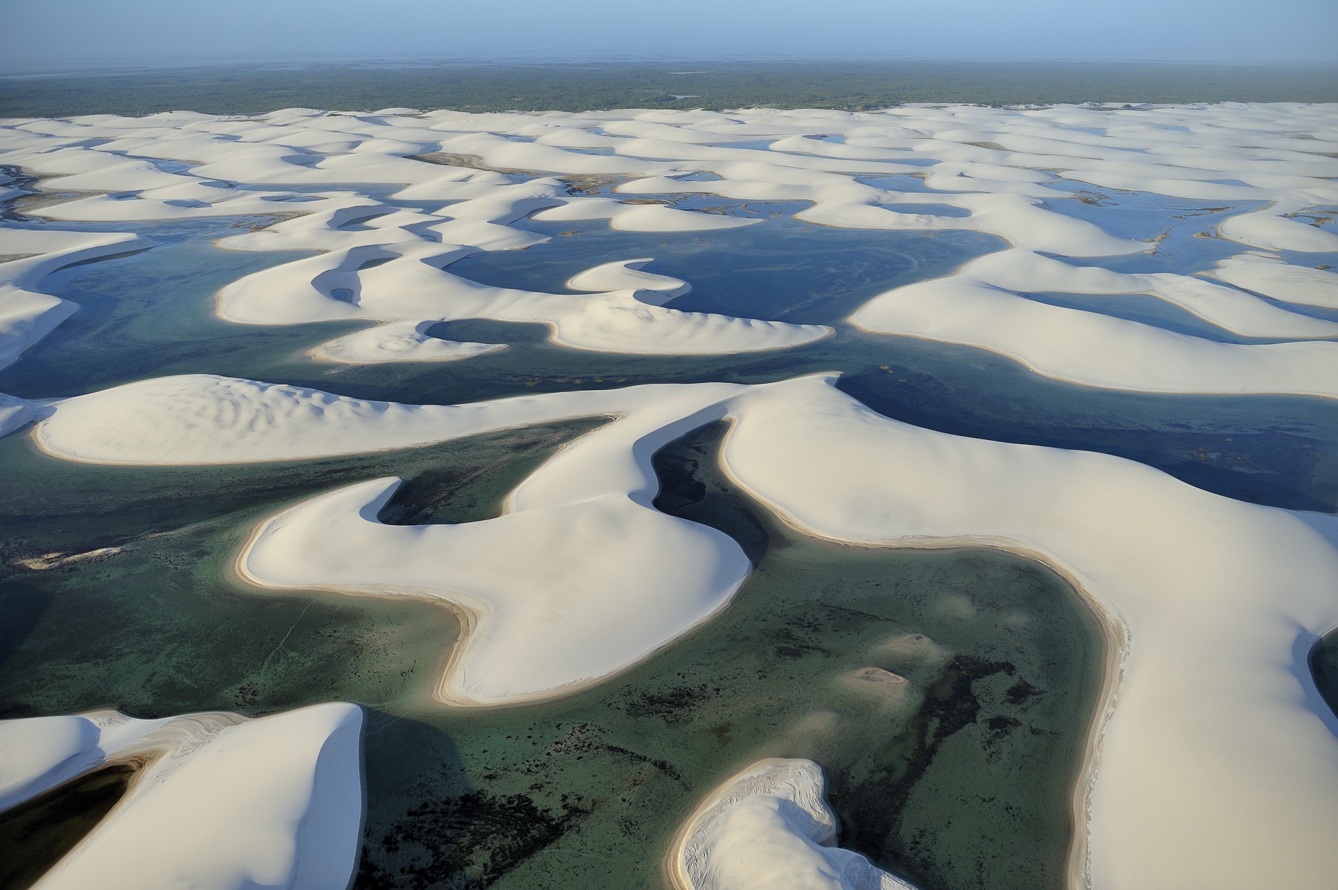 Dunes et lagunes du parc national Lençois Maranhenses 