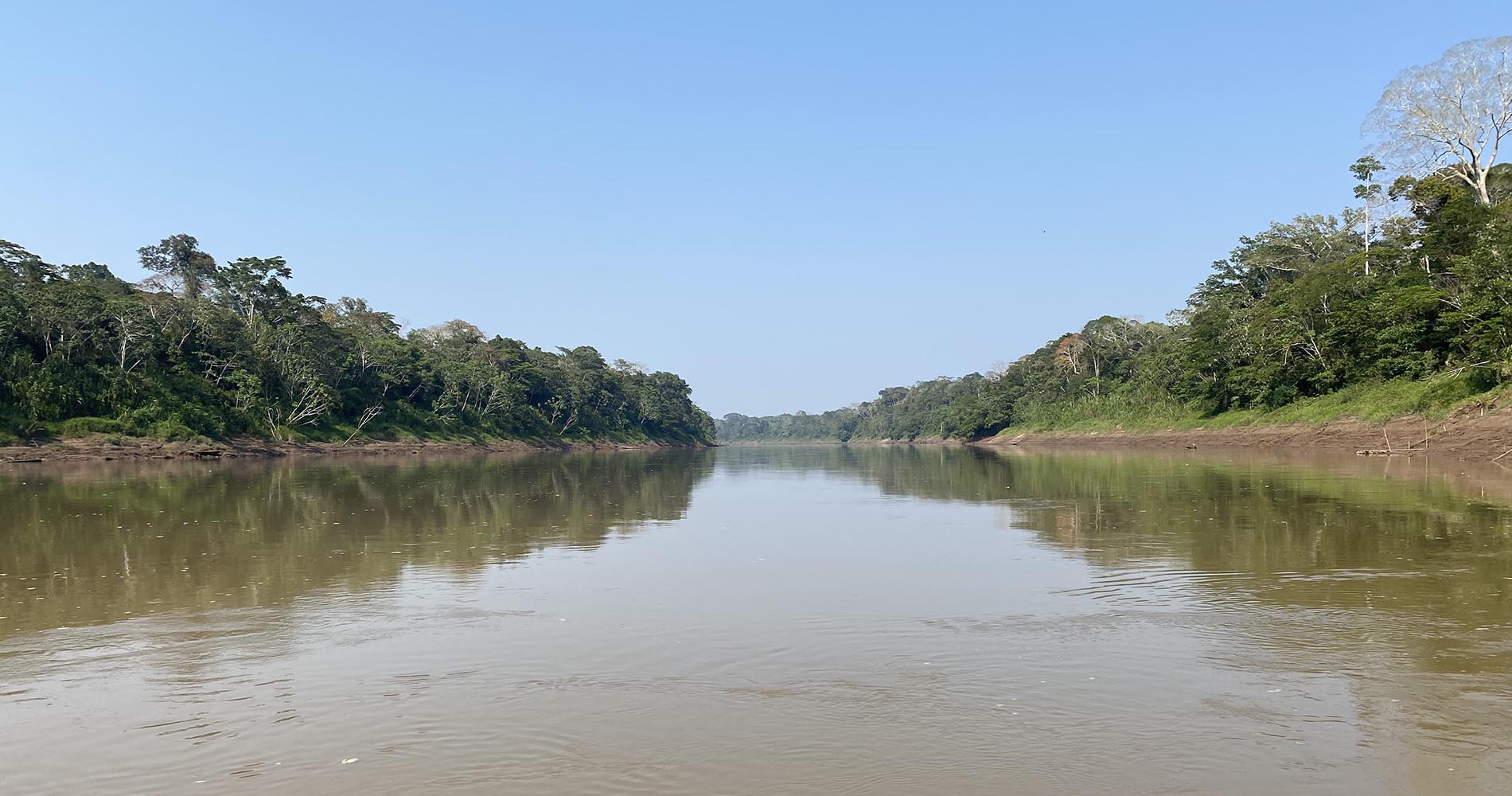 Remontée du rio Tambopata