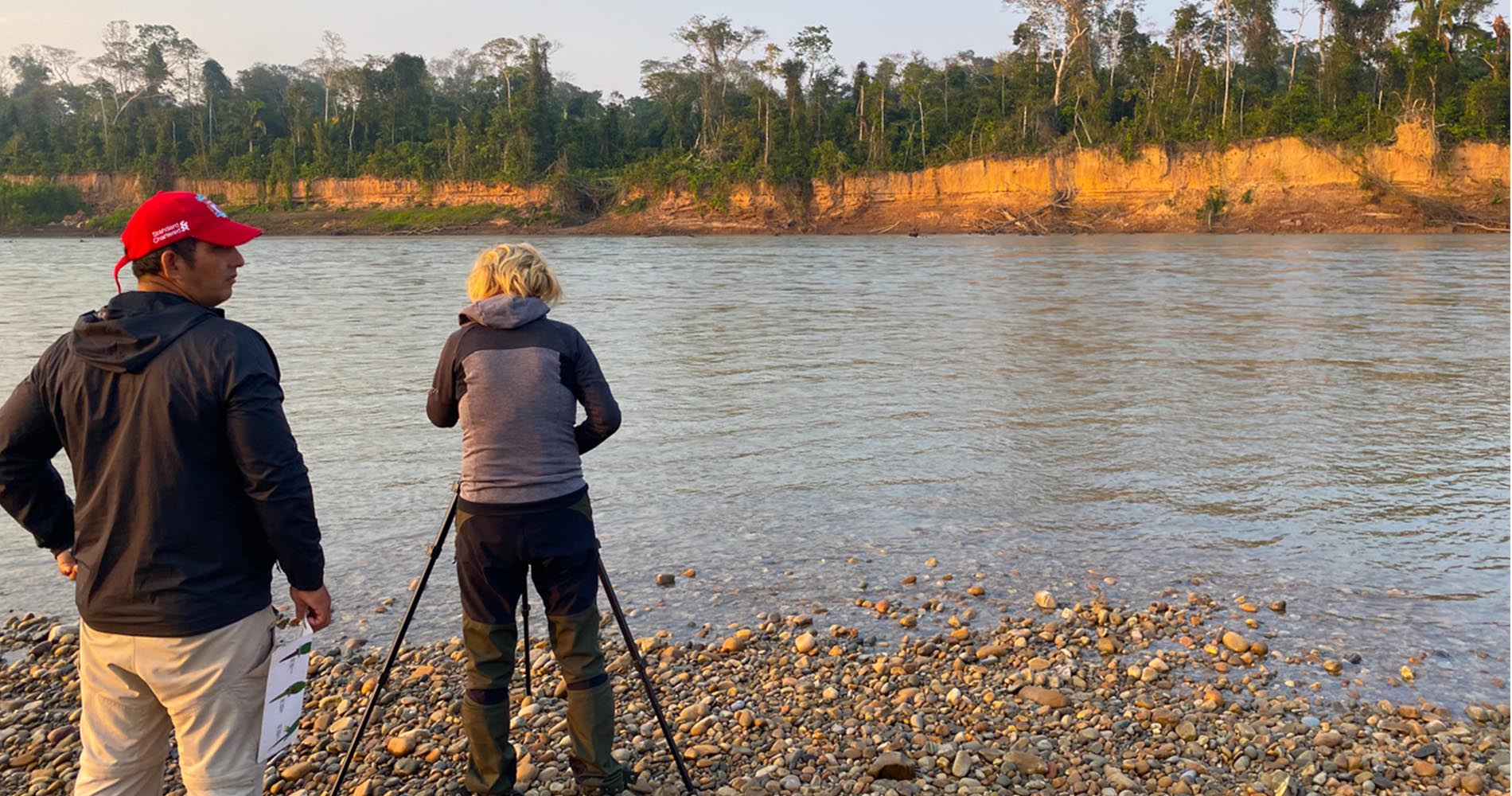 Observation des perroquets 