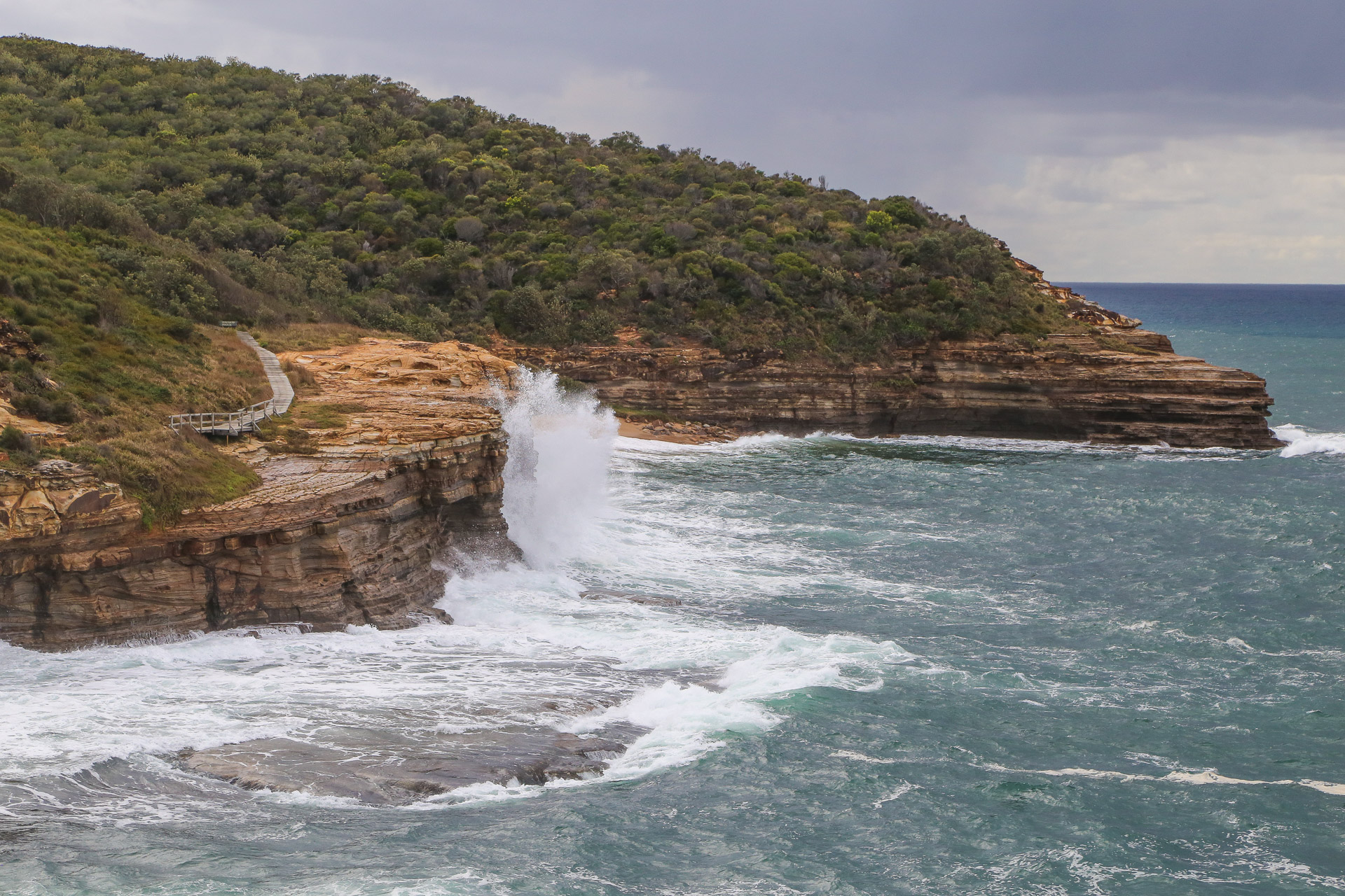 Coastal Walk Bouddi National Park