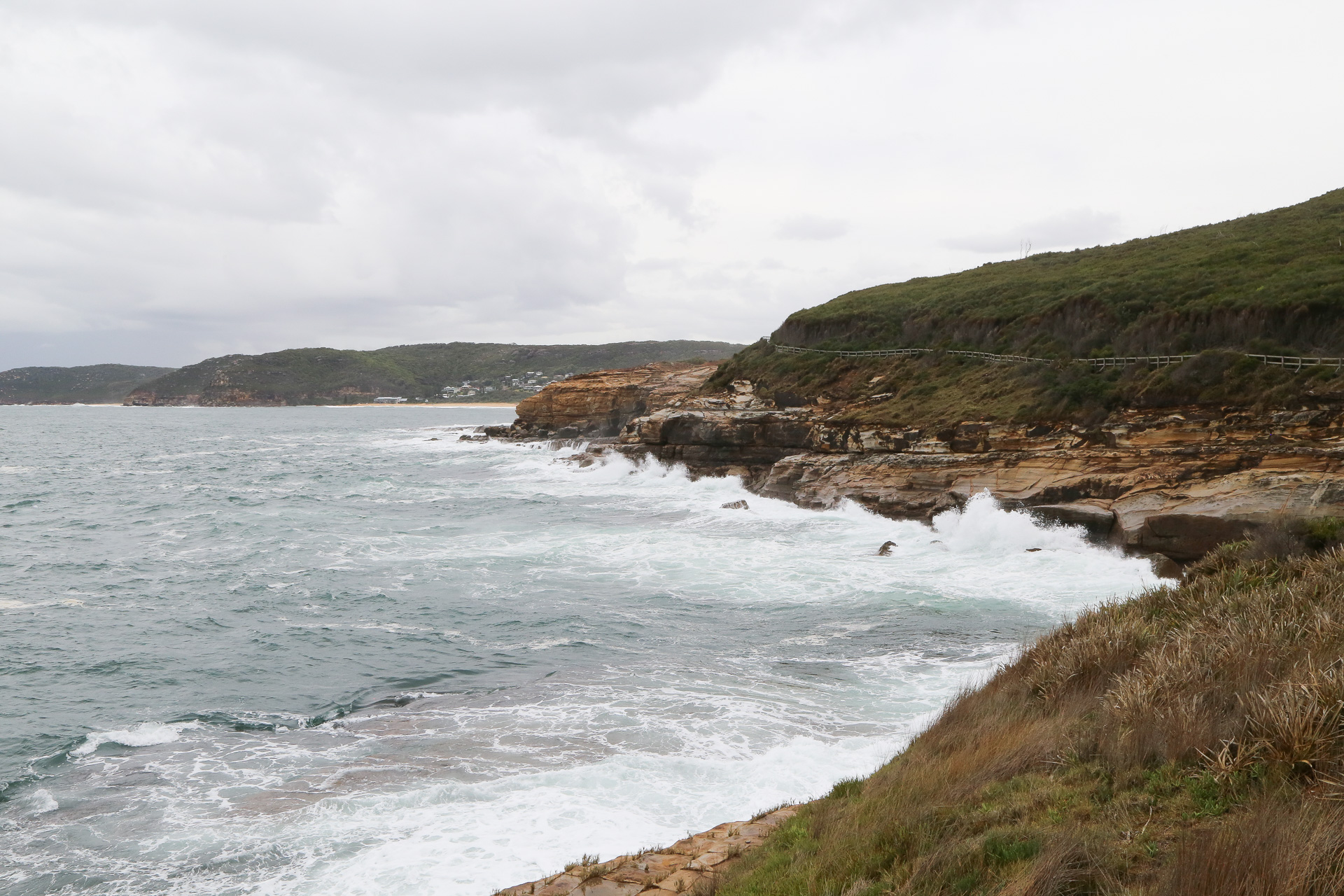 Coastal Walk Bouddi National Park